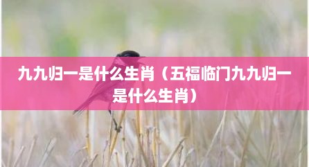 九九归一是什么生肖（五福临门九九归一是什么生肖）