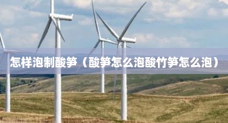 怎样泡制酸笋（酸笋怎么泡酸竹笋怎么泡）