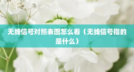 无线信号对照表图怎么看（无线信号指的是什么）