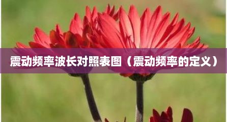 震动频率波长对照表图（震动频率的定义）