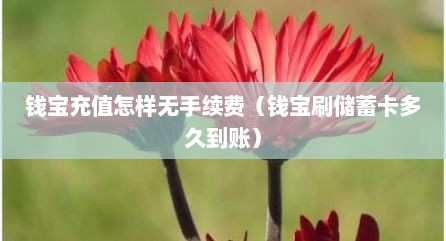 钱宝充值怎样无手续费（钱宝刷储蓄卡多久到账）