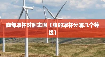 胸部罩杯对照表图（胸的罩杯分哪几个等级）