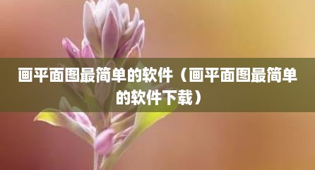 画平面图最简单的软件（画平面图最简单的软件下载）