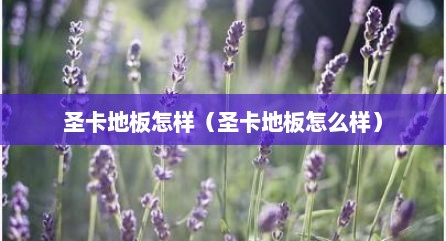 圣卡地板怎样（圣卡地板怎么样）