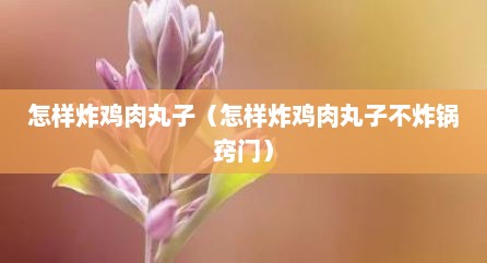 怎样炸鸡肉丸子（怎样炸鸡肉丸子不炸锅窍门）