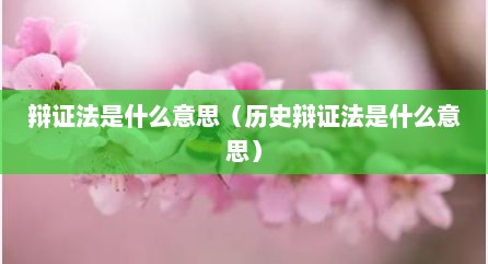 辩证法是什么意思（历史辩证法是什么意思）