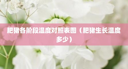 肥猪各阶段温度对照表图（肥猪生长温度多少）