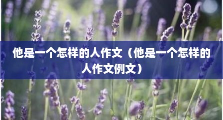 他是一个怎样的人作文（他是一个怎样的人作文例文）