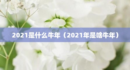 2021是什么牛年（2021年是啥牛年）