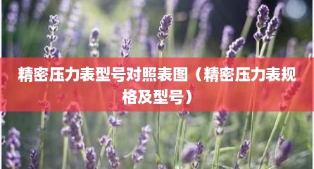 精密压力表型号对照表图（精密压力表规格及型号）