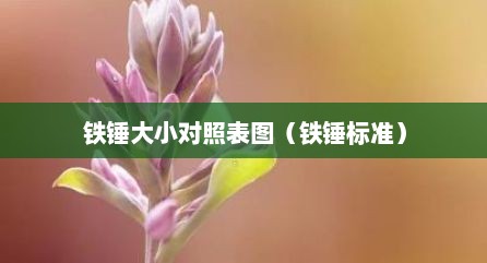 铁锤大小对照表图（铁锤标准）