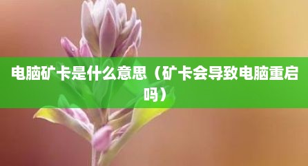 电脑矿卡是什么意思（矿卡会导致电脑重启吗）