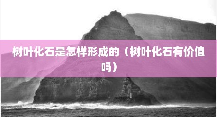 树叶化石是怎样形成的（树叶化石有价值吗）
