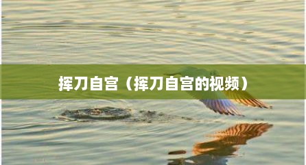挥刀自宫（挥刀自宫的视频）