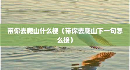 带你去爬山什么梗（带你去爬山下一句怎么接）