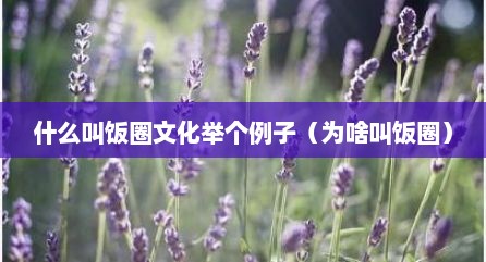 什么叫饭圈文化举个例子（为啥叫饭圈）
