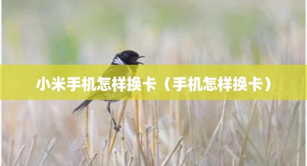 小米手机怎样换卡（手机怎样换卡）
