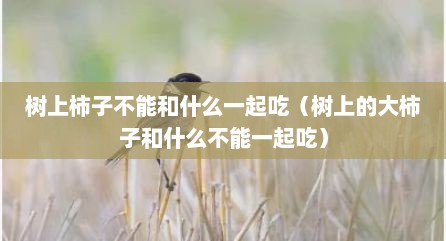 树上柿子不能和什么一起吃（树上的大柿子和什么不能一起吃）