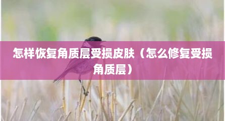 怎样恢复角质层受损皮肤（怎么修复受损角质层）