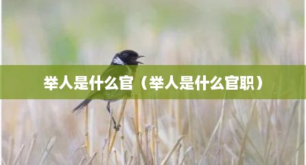 举人是什么官（举人是什么官职）