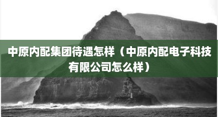 中原内配集团待遇怎样（中原内配电子科技有限公司怎么样）
