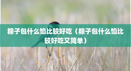 粽子包什么馅比较好吃（粽子包什么馅比较好吃又简单）