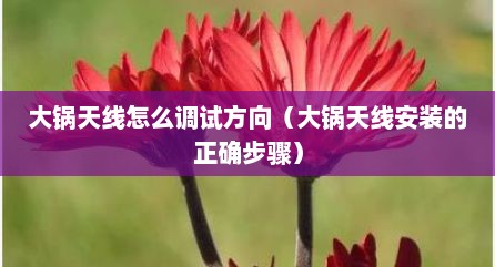 大锅天线怎么调试方向（大锅天线安装的正确步骤）