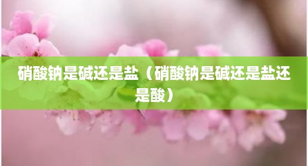 硝酸钠是碱还是盐（硝酸钠是碱还是盐还是酸）