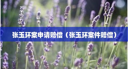 张玉环案申请赔偿（张玉环案件赔偿）