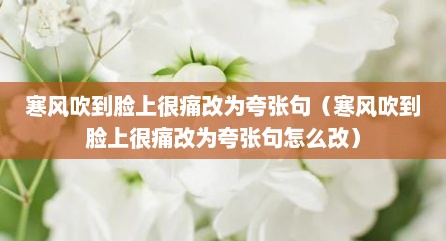 寒风吹到脸上很痛改为夸张句（寒风吹到脸上很痛改为夸张句怎么改）