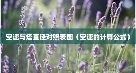 空速与塔直径对照表图（空速的计算公式）
