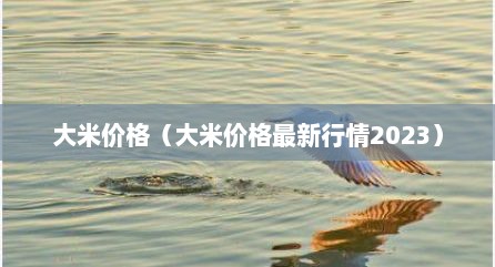 大米价格（大米价格最新行情2023）
