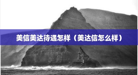 美信美达待遇怎样（美达信怎么样）