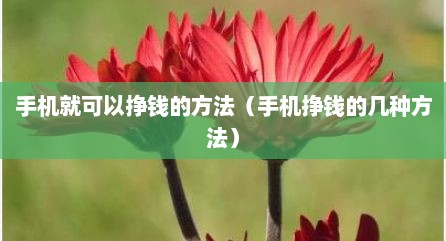 手机就可以挣钱的方法（手机挣钱的几种方法）