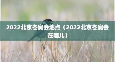 2022北京冬奥会地点（2022北京冬奥会在哪儿）