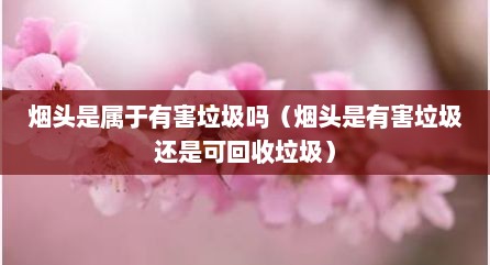 烟头是属于有害垃圾吗（烟头是有害垃圾还是可回收垃圾）