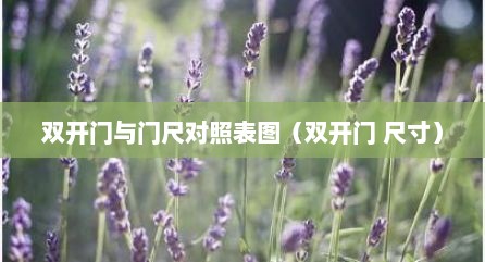 双开门与门尺对照表图（双开门 尺寸）
