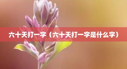 六十天打一字（六十天打一字是什么字）