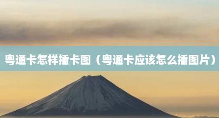 粤通卡怎样插卡图（粤通卡应该怎么插图片）