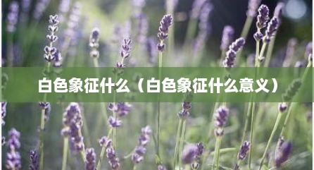 白色象征什么（白色象征什么意义）