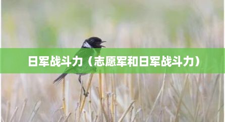 日军战斗力（志愿军和日军战斗力）