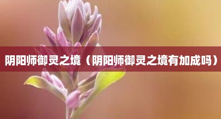 阴阳师御灵之境（阴阳师御灵之境有加成吗）