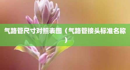 气路管尺寸对照表图（气路管接头标准名称）