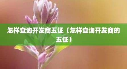 怎样查询开发商五证（怎样查询开发商的五证）