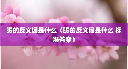 暖的反义词是什么（暖的反义词是什么 标准答案）