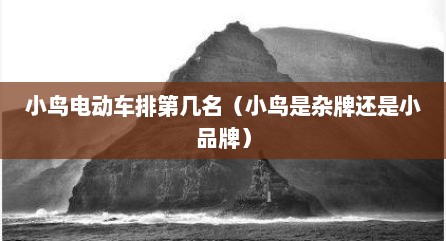 小鸟电动车排第几名（小鸟是杂牌还是小品牌）