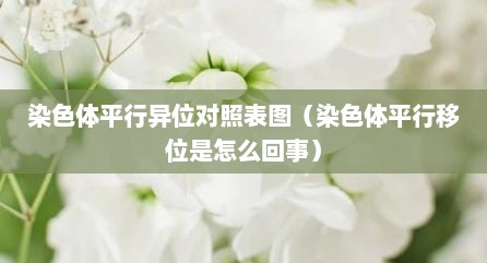 染色体平行异位对照表图（染色体平行移位是怎么回事）