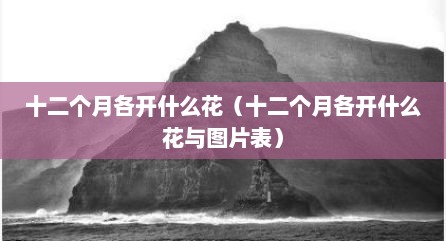 十二个月各开什么花（十二个月各开什么花与图片表）