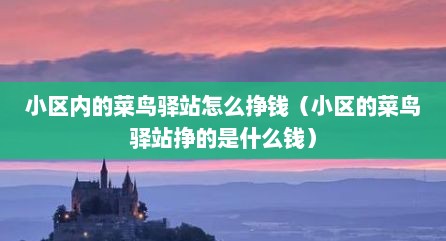 小区内的菜鸟驿站怎么挣钱（小区的菜鸟驿站挣的是什么钱）