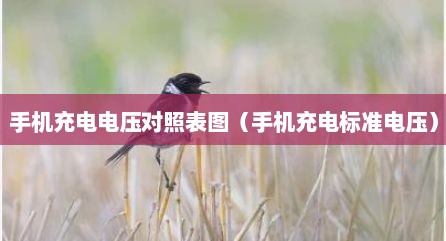 手机充电电压对照表图（手机充电标准电压）
